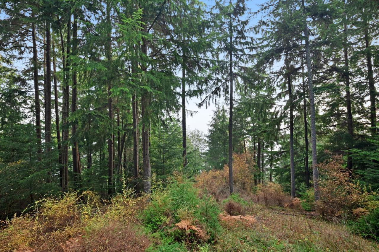 EastsoundRacoon Retreat别墅 外观 照片
